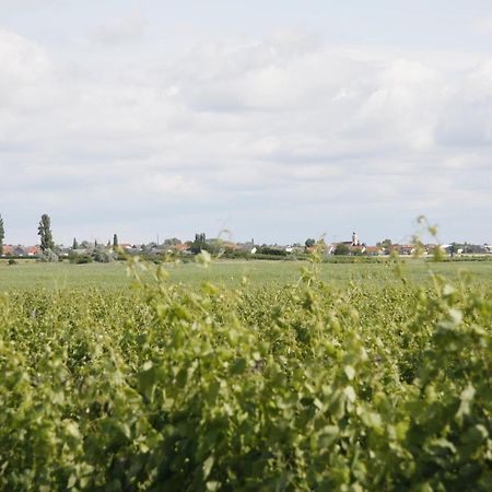 Pension & Weingut Storchenblick Illmitz Exterior foto